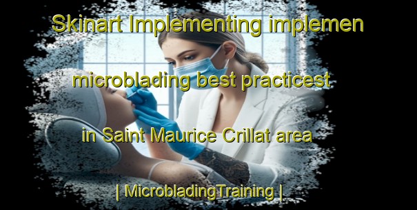 Skinart Implementing implemen microblading best practicest in Saint Maurice Crillat area | MicrobladingTraining | MicrobladingClasses | SkinartTraining-France